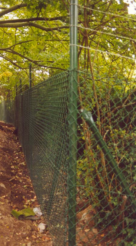 Chainlink fence post